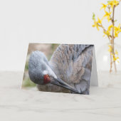 サンドヒルクレー空白のンノートカード カード (黄色い花)