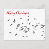 サンドヒルズのシンプルさ シーズンポストカード (正面)