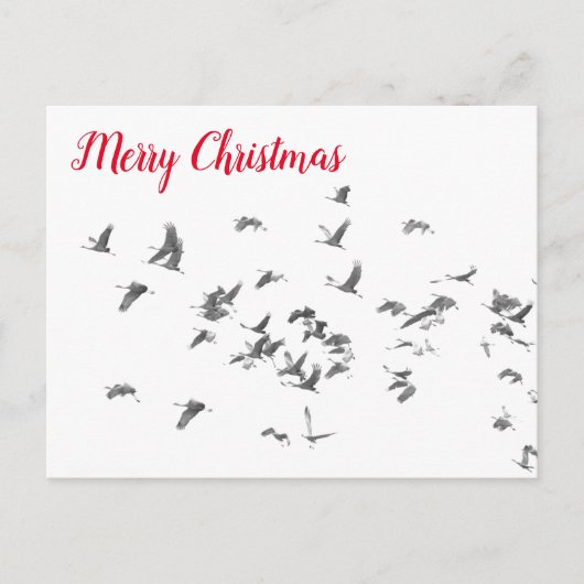 サンドヒルズのシンプルさ シーズンポストカード (正面)