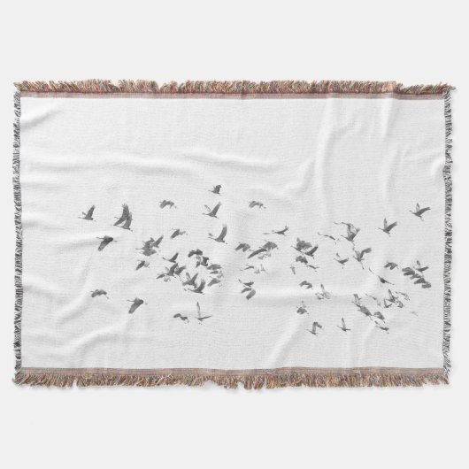 サンドヒルズのシンプルさ スローブランケット (正面)