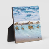 サンドピランニングーパーズビーチ沿い フォトプラーク (正面)