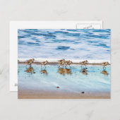 サンドピランニングーパーズビーチ沿い ポストカード (正面/裏面)