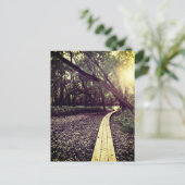 サンドポイント・トレイル・ミネソタのはがき ポストカード (スタンド正面)