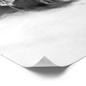 サンドミンゴ・ペドラー・ポスター ポスター (角)