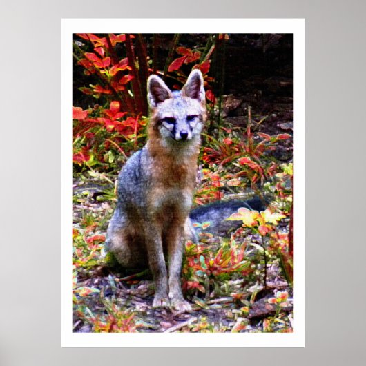 サンドラを待っている ポスター (正面)