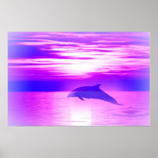 サンドルフィン ポスター