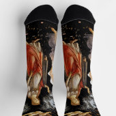 サンドロボッティチェリ – ラプリマヴェラ ソックス (上部)