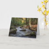 サンド春走ヒッコリー走ーク カード (黄色い花)