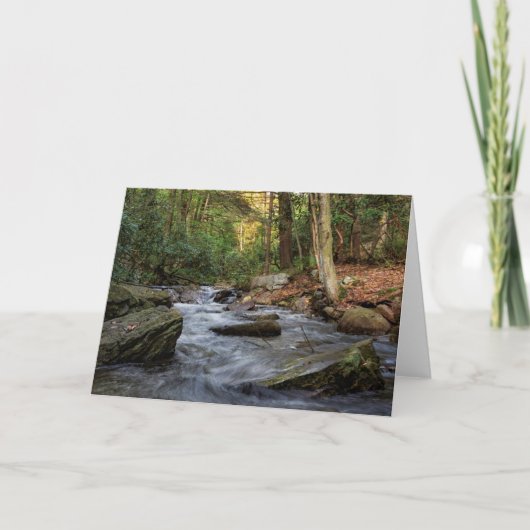 サンド春走ヒッコリー走ーク カード (正面)