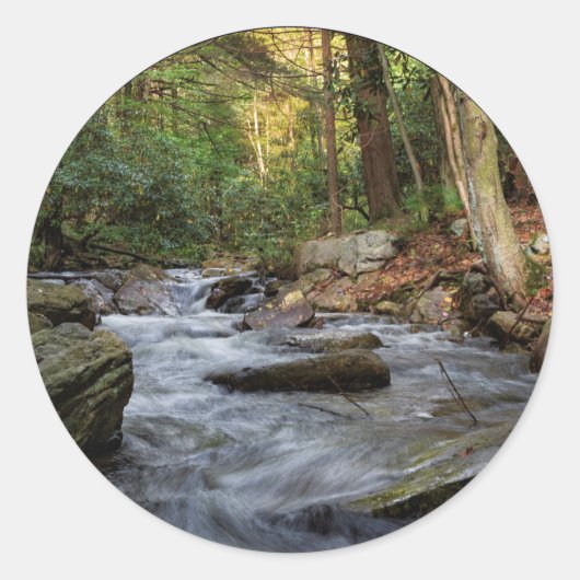 サンド走春ヒコリー走州パーク ラウンドシール (正面)