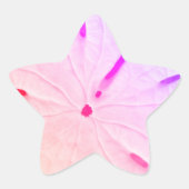 サンド・ダラー・ビーチ カジュアル・トレンディー・キュート・ピンク・ガーリー 星シール (正面)