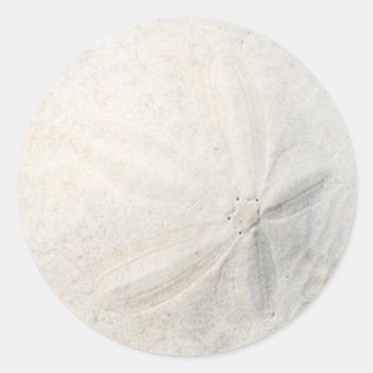 サンド・ダラー・ビーチ・パーティー・ラウンド・ステッカー ラウンドシール (正面)