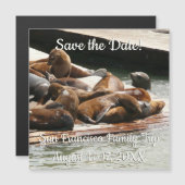 サンニング海のライオンの日を保存する (正面/裏面)