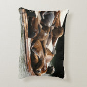 サンニング・シーライオンズ（サンフランシスコ） アクセントクッション (裏面(縦))