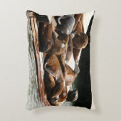 サンニング・シーライオンズ（サンフランシスコ） アクセントクッション (正面(垂直))