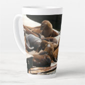 サンニング・シーライオンズ(サンフランシスコ) カフェラテマグ (左アングル)