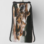 サンニング・シーライオンズ(サンフランシスコ) ゴルフヘッドカバー (回転90)