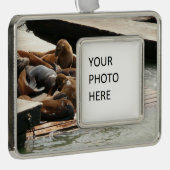 サンニング・シーライオンズ(サンフランシスコ) シルバープレートフレームオーナメント (右)