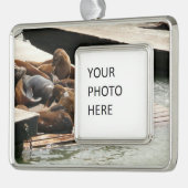 サンニング・シーライオンズ(サンフランシスコ) シルバープレートフレームオーナメント (左)