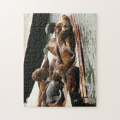 サンニング・シーライオンズ（サンフランシスコ） ジグソーパズル (縦)