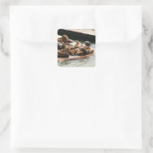 サンニング・シーライオンズ（サンフランシスコ） スクエアシール (バッグ)