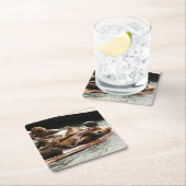 サンニング・シーライオンズ(サンフランシスコ) スクエアペーパーコースター (インサイチュ)