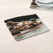 サンニング・シーライオンズ(サンフランシスコ) スクエアペーパーコースター (アングル)