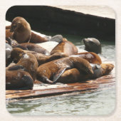 サンニング・シーライオンズ(サンフランシスコ) スクエアペーパーコースター (正面)