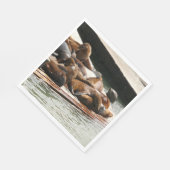 サンニング・シーライオンズ（サンフランシスコ） スタンダードランチョンナプキン (角)