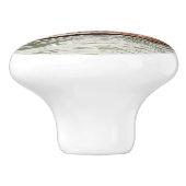 サンニング・シーライオンズ（サンフランシスコ） セラミックノブ (側面)