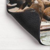 サンニング・シーライオンズ（サンフランシスコ） マウスパッド (コーナー)