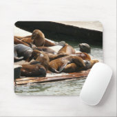 サンニング・シーライオンズ（サンフランシスコ） マウスパッド (マウス)