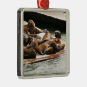 サンニング・シーライオンズ(サンフランシスコ) メタルオーナメント (右)