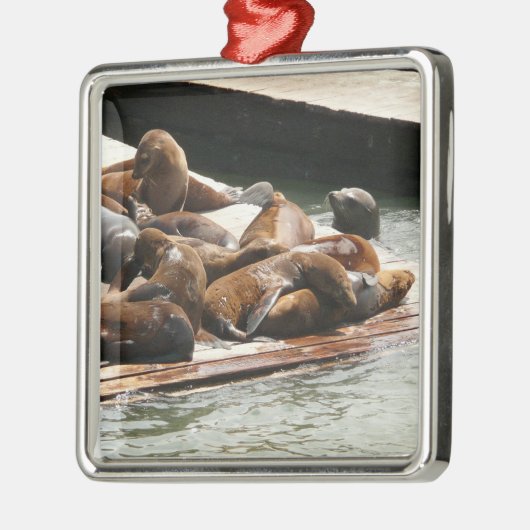 サンニング・シーライオンズ(サンフランシスコ) メタルオーナメント (左)