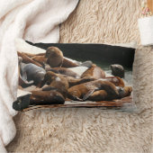 サンニング・シーライオンズ(サンフランシスコ) ランバークッション (ブランケット)