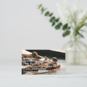 サンニング・シーライオンズ（サンフランシスコ） 名刺 (スタンド正面)