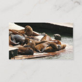 サンニング・シーライオンズ（サンフランシスコ） 名刺 (裏面)