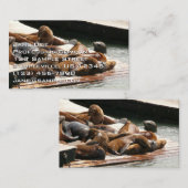 サンニング・シーライオンズ（サンフランシスコ） 名刺 (正面/裏面)