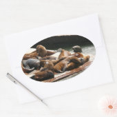 サンニング・シーライオンズ(サンフランシスコ) 楕円形シール (封筒)