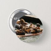 サンニング・シーライオンズ（サンフランシスコ） 缶バッジ (正面&裏面)