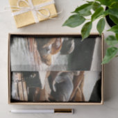 サンニング・シーライオンズ（サンフランシスコ） 薄葉紙 (ギフト)