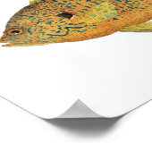 サンニース – ブルーギル&パンプキンシード ポスター (角)