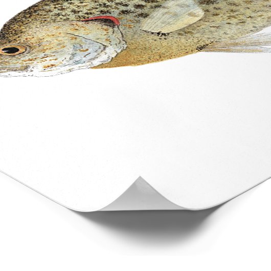 サンニー ポスター (角)