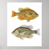 サンニー ポスター (正面)