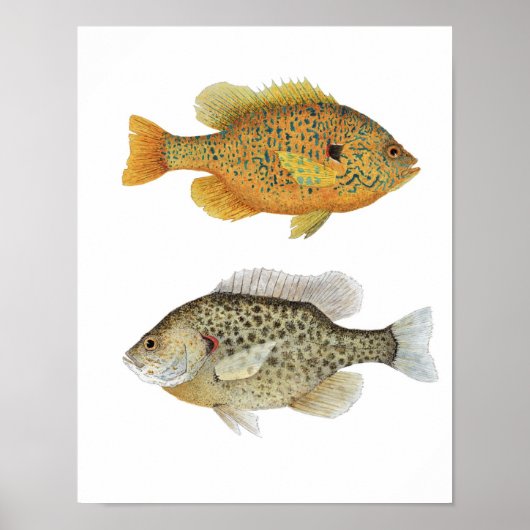 サンニー ポスター (正面)