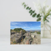 サンノゼからのブラームズ！ ポストカード (スタンド正面)