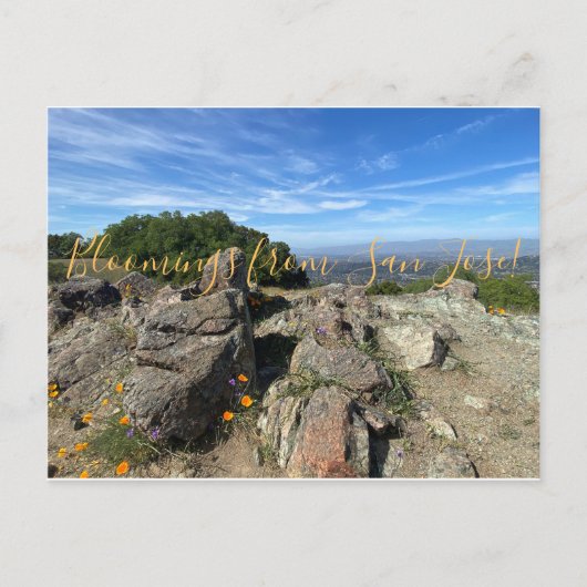 サンノゼからのブラームズ！ ポストカード (正面)