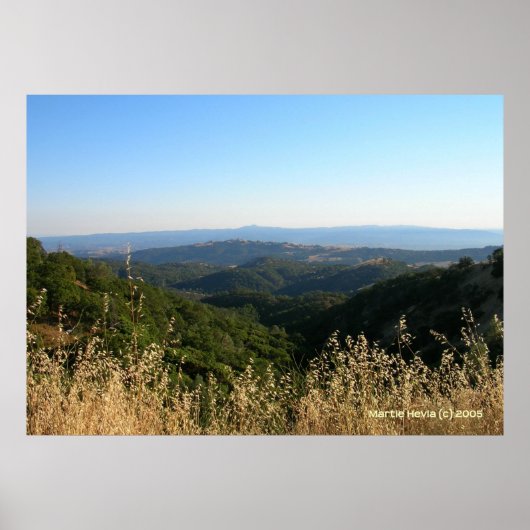 サンノゼフットヒルズドライグラス ポスター (正面)