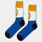 サンノゼ（カリフォルニア州）市旗 ソックス (左)