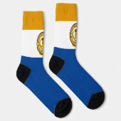 サンノゼ（カリフォルニア州）市旗 ソックス (右)